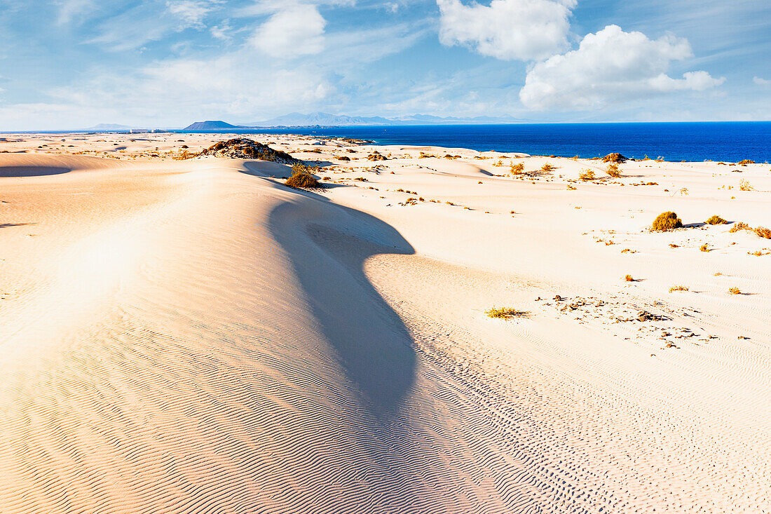 Corralejo Natural Park Dunes