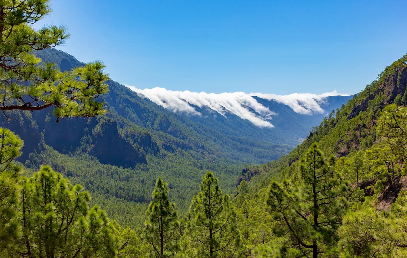 Caldera de Taburiente