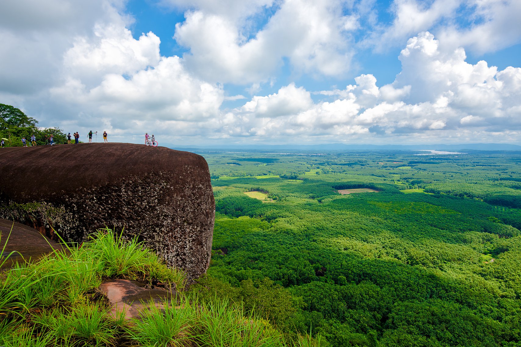 Rock outcrop surrounded by lush jungle
