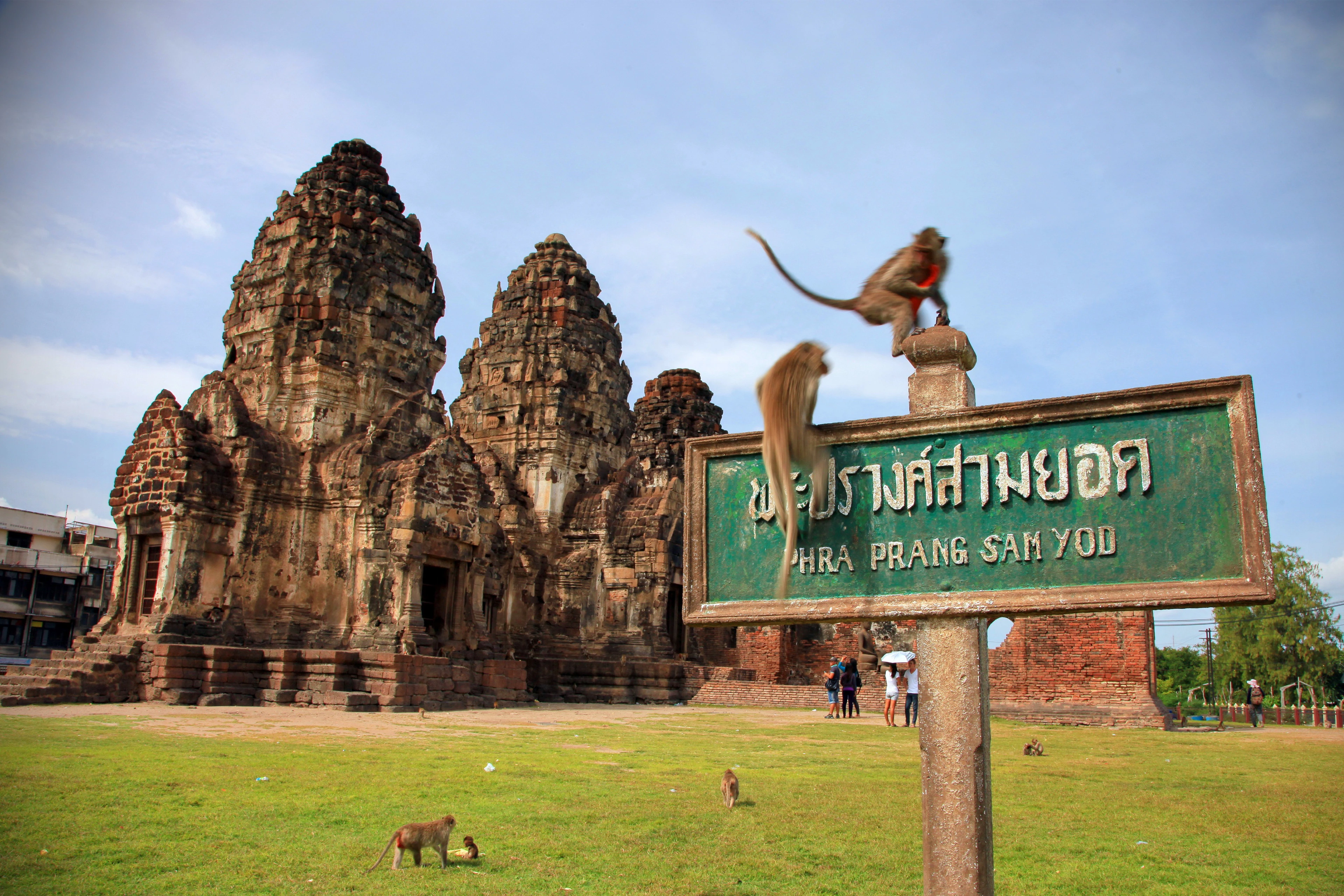 Macaque monkeys play on the green entrance sign for the ancient stone temple of Phra Prang Sam Yod in Lopburi, Thailand.