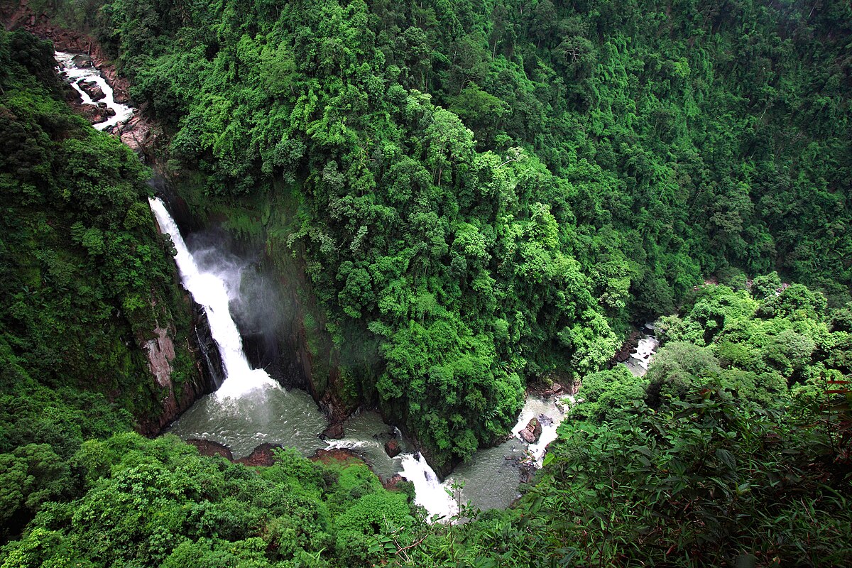 A high-angle view of a powerful waterfall plunging into a deep, forested gorge in Nakhon Nayok province, Thailand, as a river winds through the lush, vibrant green jungle below.