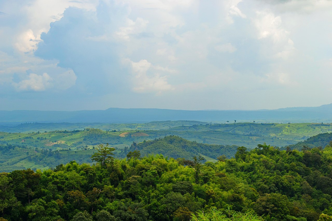 A beautiful view across a lush jungle landscape.