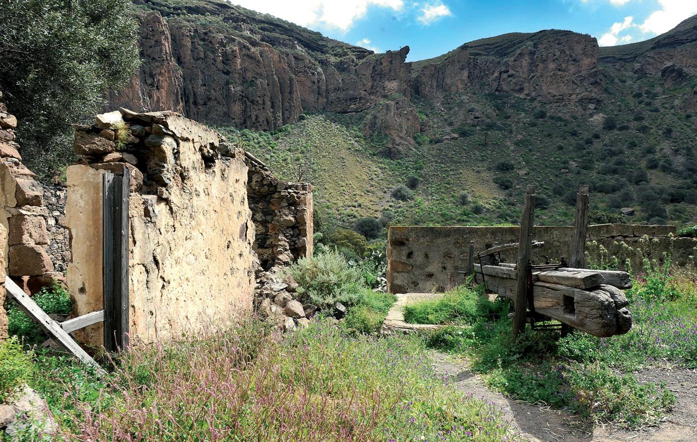 Caldera de Bandama