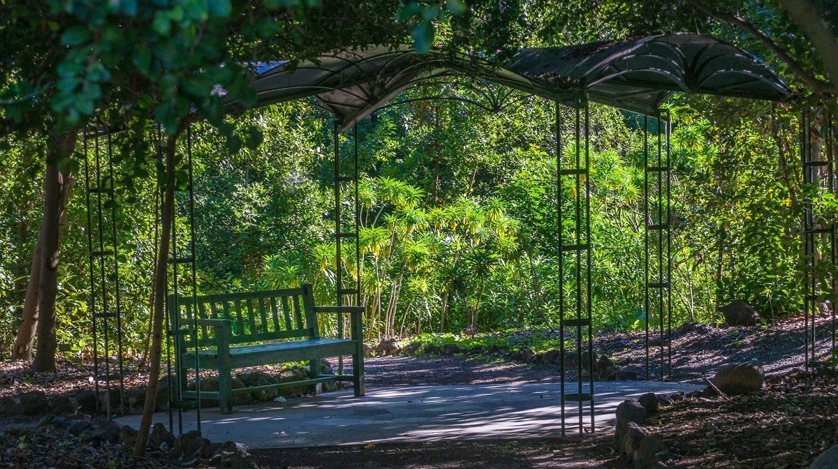 Jardín Botánico Viera y Clavijo