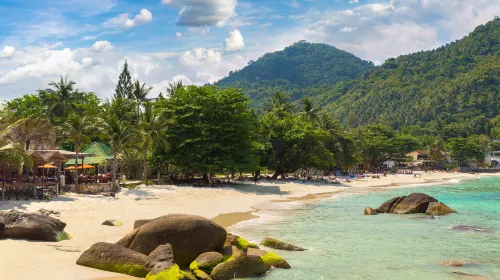 A white sand beach with lush green vegetation behind