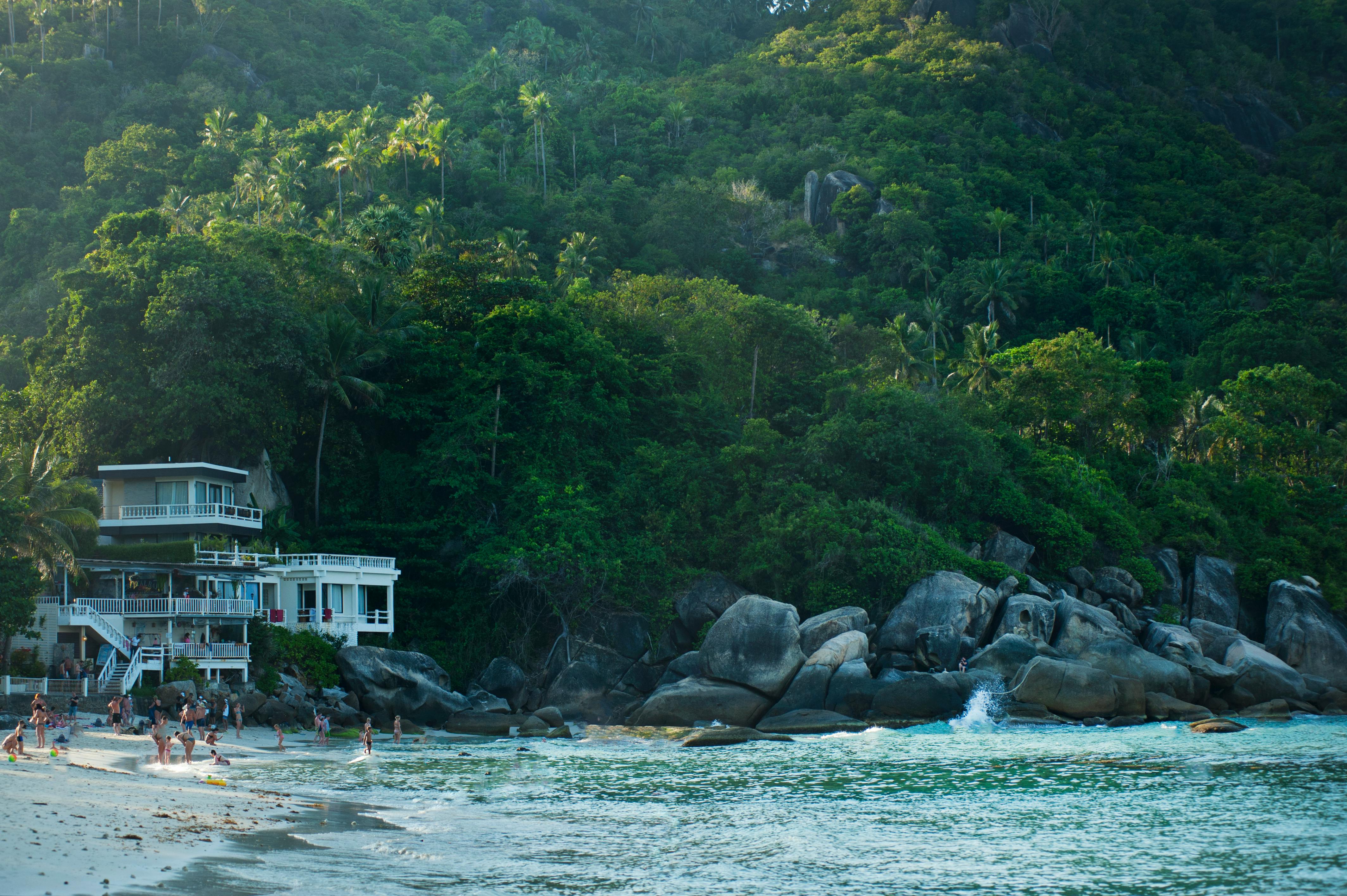 A beach backed by tropical jungle